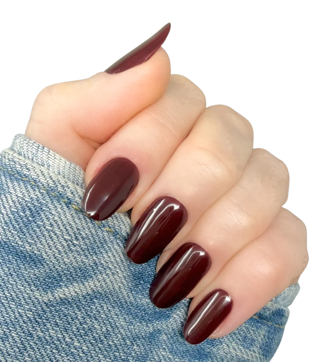 Google & Facebook Feed